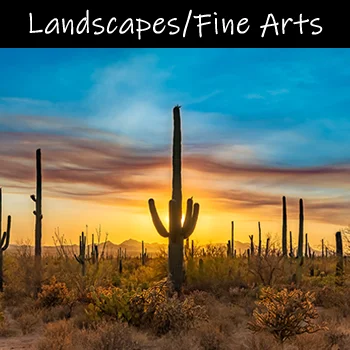 Landscapes/Fine Arts
