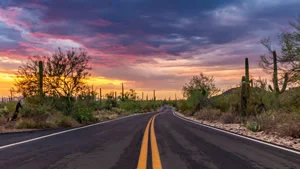 Desert Road In Saguaro National Park